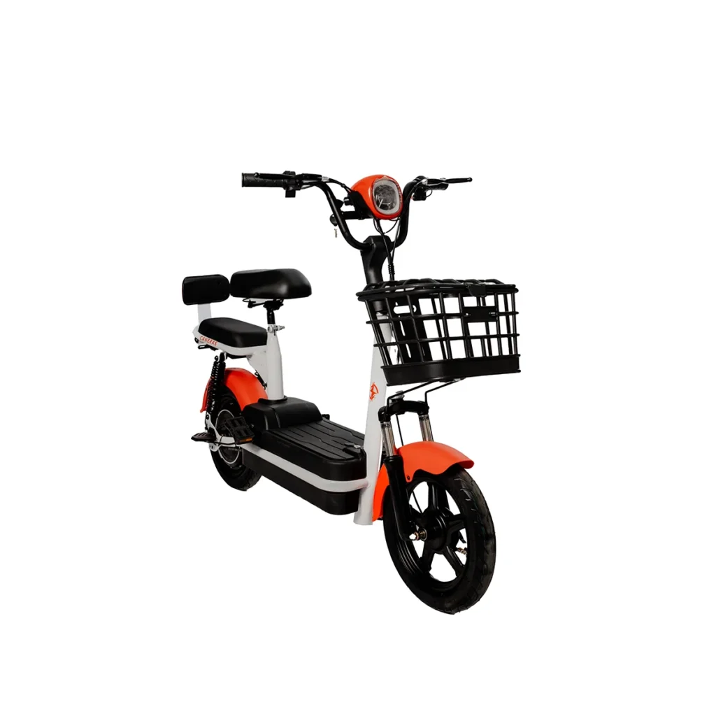 Caneras elektricni skuter X