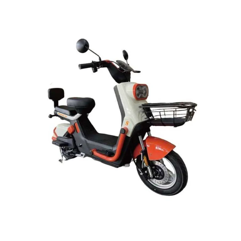 Caneras elektricni skuter X22