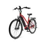 MS ENERGY eBike c500